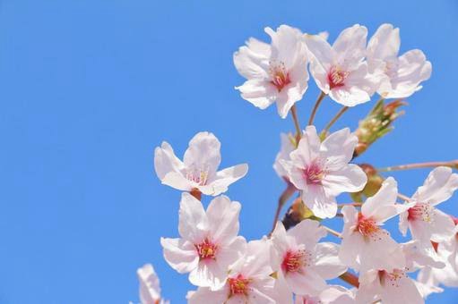 生徒さんが合格されました